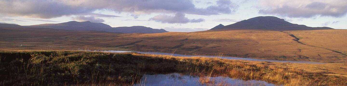 Image of the Flow Country by the Peatlands Patnreship