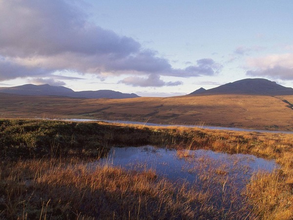 Image of the Flow Country by the Peatlands Patnreship