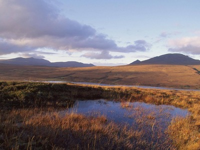 Image of the Flow Country by the Peatlands Patnreship